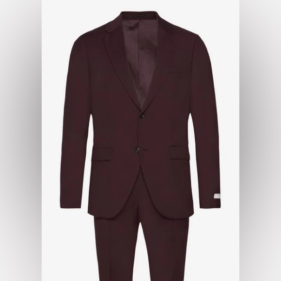 Burgundy/wine colored Tiger of Sweden suit.
